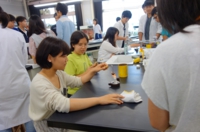 DSC07062.JPG