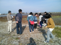 IMG01919.jpg